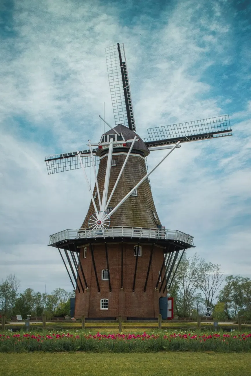 A tall Dutch windmill with a brick base and shingled cap, red and pink tulips in front