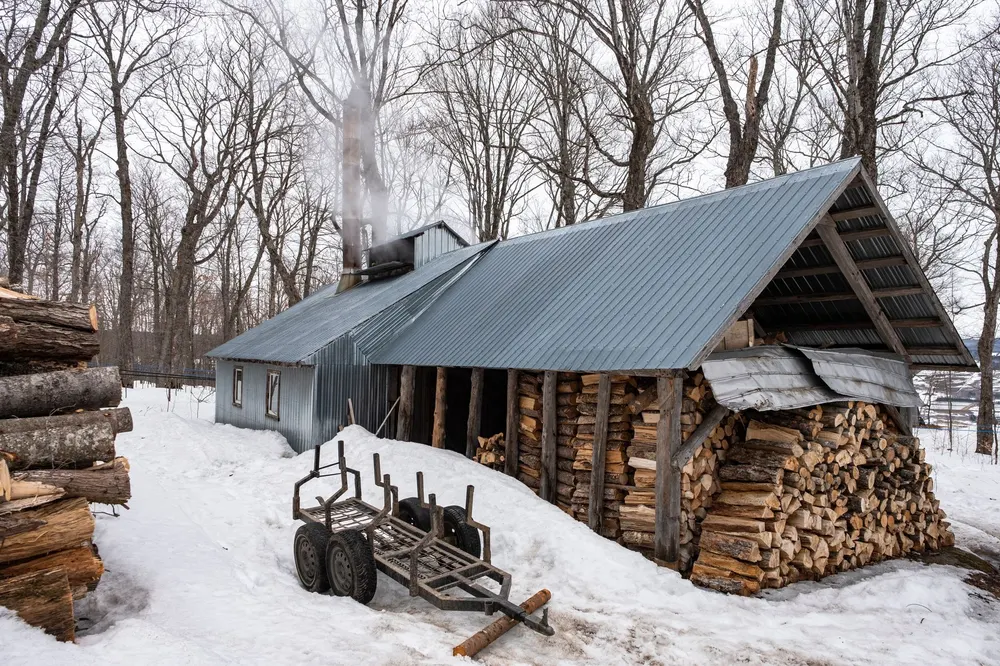 Gray metal roof on a wooden shed with firewood stacked under it, deep snow on the ground