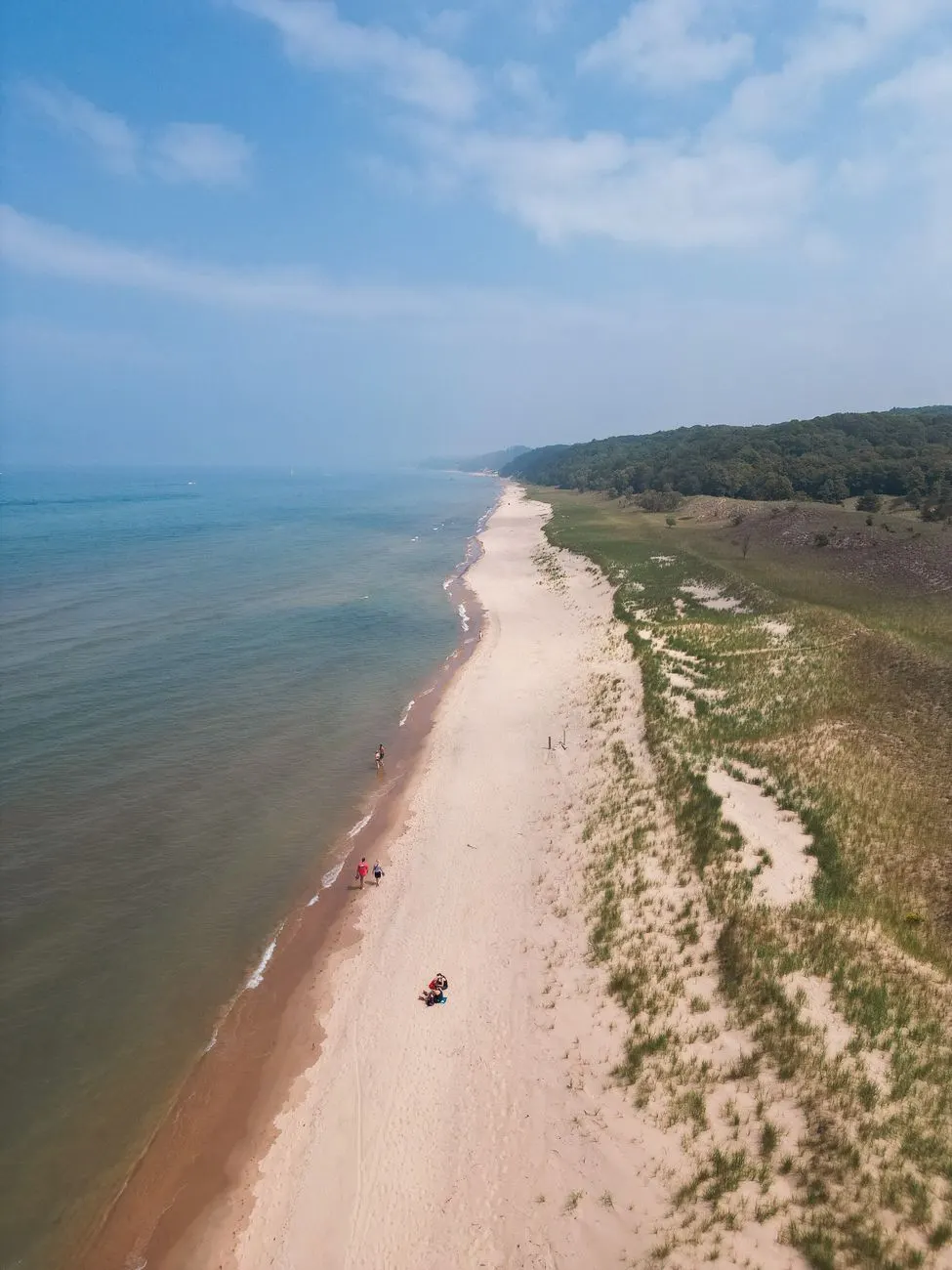 Aerial view of a sandy Lake Michigan beach with grassy dunes and woods along the shore